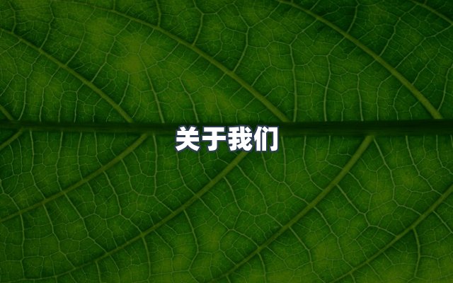 团队合作